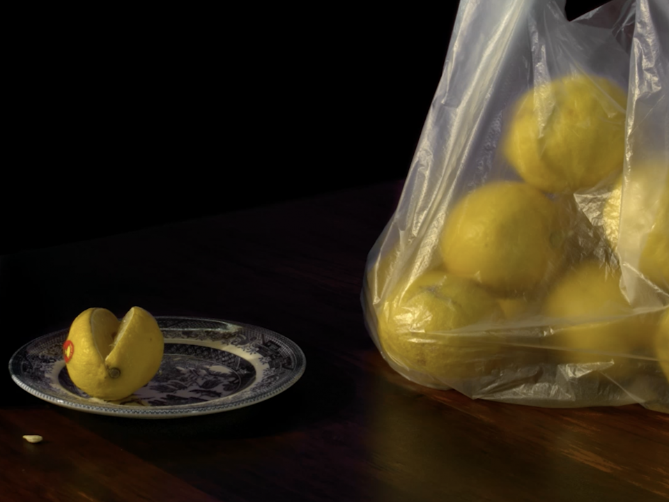 Miška Mandić, Preliminary rendering of Lemons, Camera 2, 2020, HD video, 28 min, colour, silent (detail)